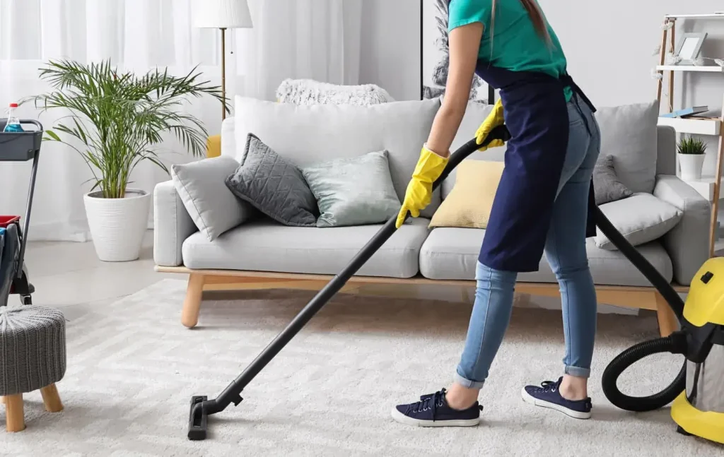 Marbella Cleaning Services